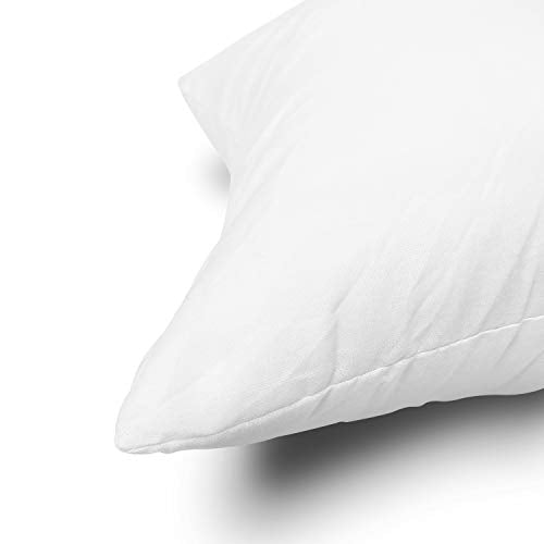 EDOW Throw Pillow Insert, Lightweight Soft Polyester Down Alternative Decorative Pillow, Sham Stuffer, Machine Washable. (White, 18x18)