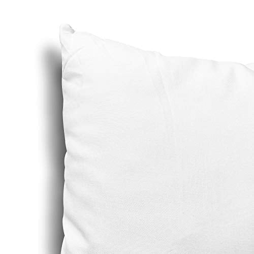 EDOW Throw Pillow Insert, Lightweight Soft Polyester Down Alternative Decorative Pillow, Sham Stuffer, Machine Washable. (White, 18x18)