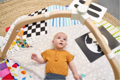 LOVEVERY | The Play Gym | Award Winning For Baby , Stage-Based Developmental Activity Gym & Play Mat for Baby to Toddler