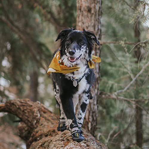 QUMY Dog Shoes for Large Dogs, Medium Dog Boots & Paw Protectors for Winter Snowy Day, Summer Hot Pavement, Waterproof in Rainy Weather, Outdoor Walking, Indoor Hardfloors Anti Slip Sole Black Size 1