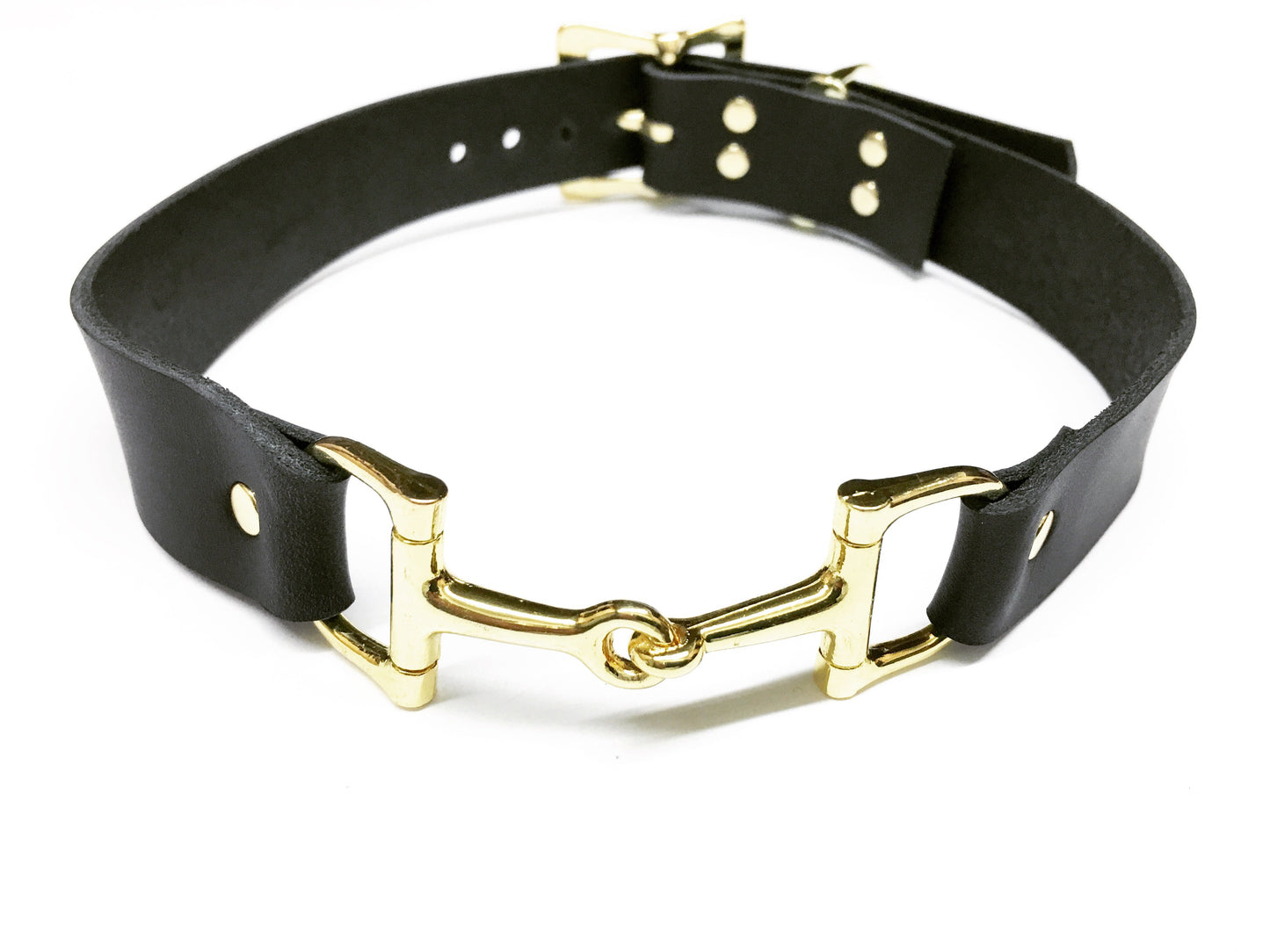 Equestrian Dog Collar B2280 | Ideana